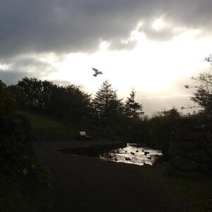 Meet your Posher, Theresa